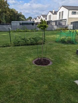 PXL_20240623_153842317